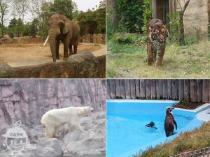 八木山動物公園