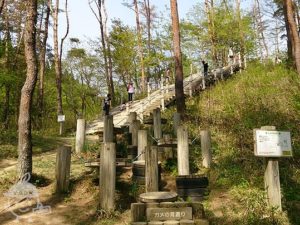 宮城県県民の森