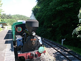 蒸気機関車「さくら1号」