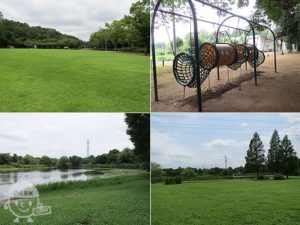 さぎ山記念公園・見沼自然公園