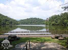 池の南側