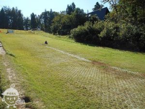 田上町総合公園YOU・遊ランド