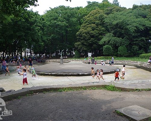 じゃぶじゃぶ池
