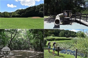 増尾城址総合公園