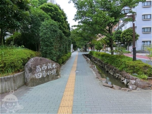 葛西親水四季の道