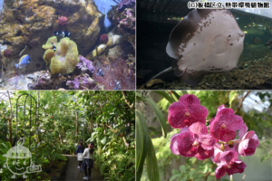 板橋区立 熱帯環境植物館