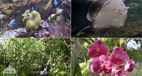 板橋区立 熱帯環境植物館