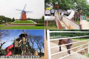 ソーラーエコ大胡ぐりーんふらわー牧場