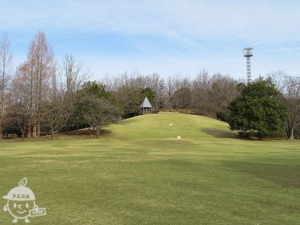 真光寺公園