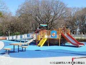 砧公園