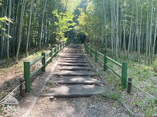 竹の小径（散策路）