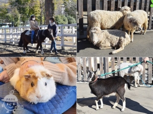 東板橋公園・板橋こども動物園