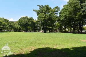 新小岩公園