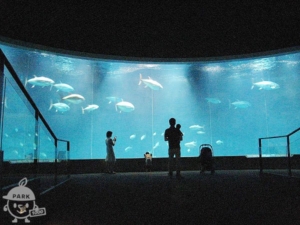 葛西臨海水族園