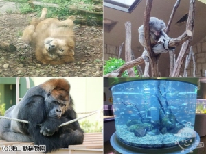 東山動植物園