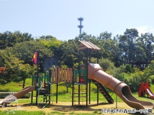 くぬぎの森スポーツ公園・複合遊具