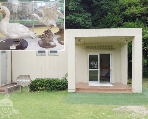 動物資料館