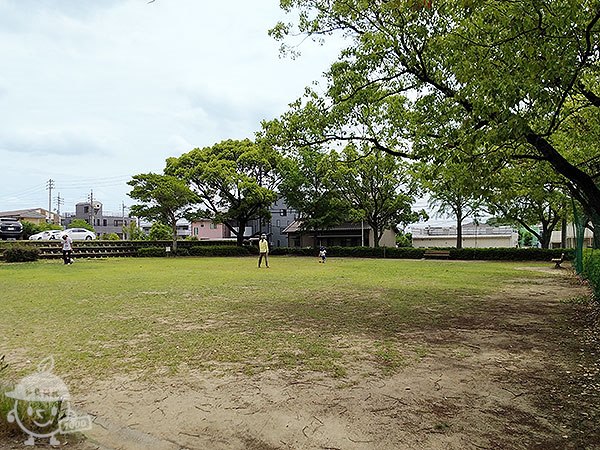 芝生の広場