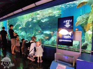 碧南海浜水族館