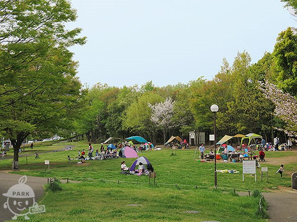 ピクニック広場