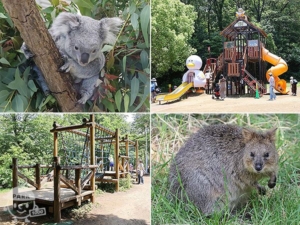 埼玉県こども動物自然公園