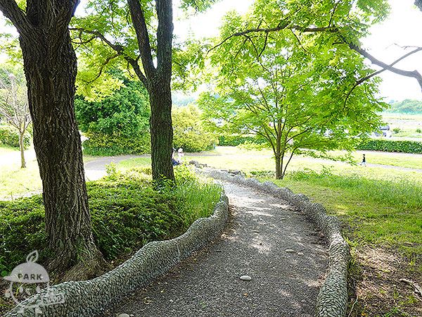 大地の泉