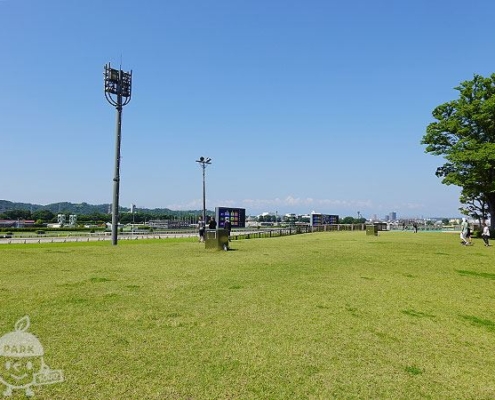 日吉が丘公園