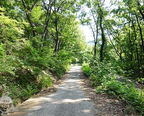 遊歩道