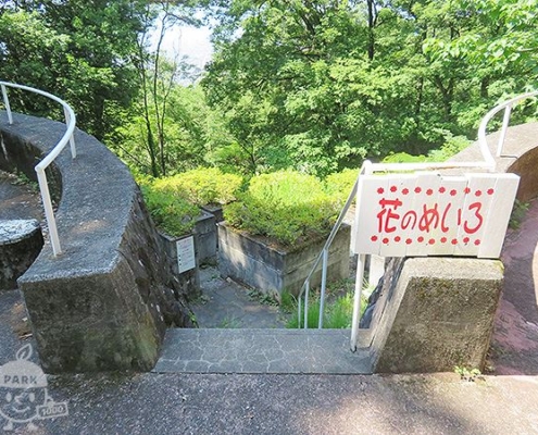 花の迷路