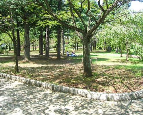 広場