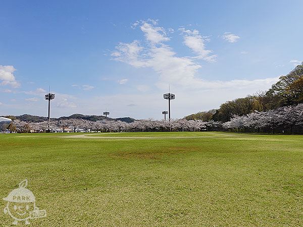多目的広場