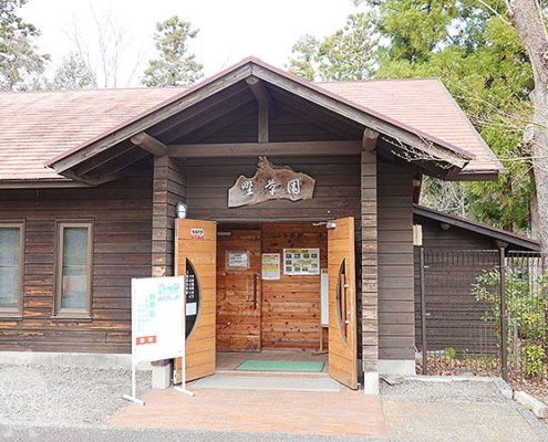 野草園