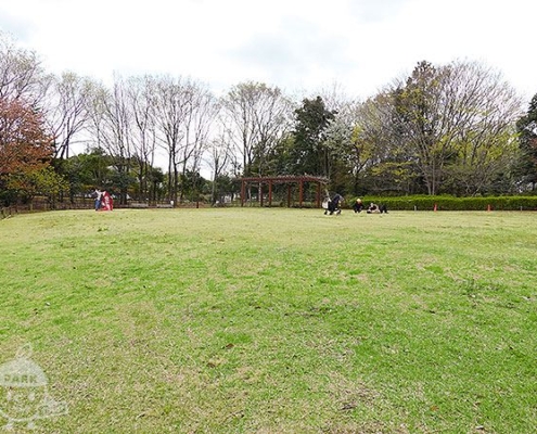 芝生の広場