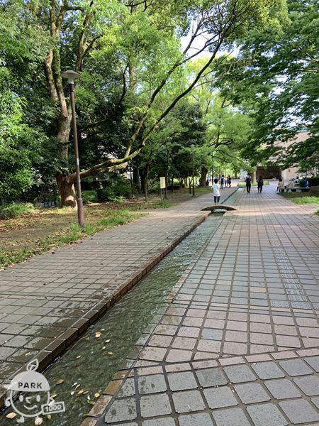 せせらぎ
