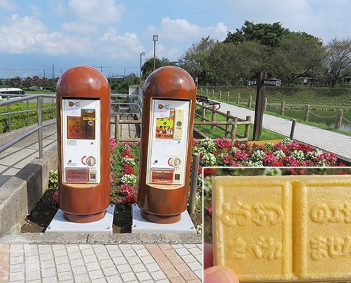 コイのおやつ自動販売機