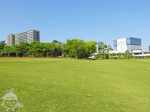 大芝生広場