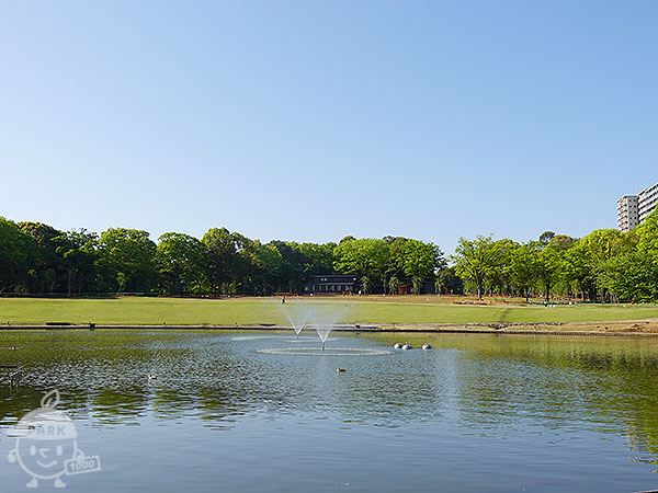 大池