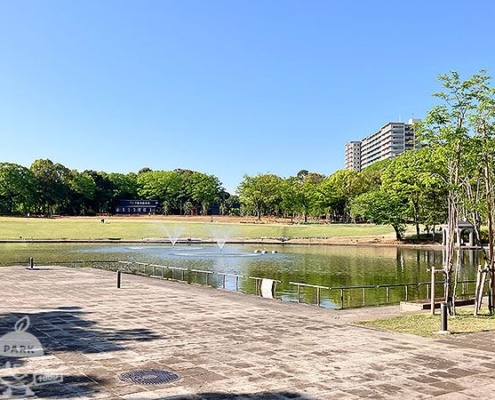 大池前テラス