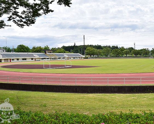 陸上競技場