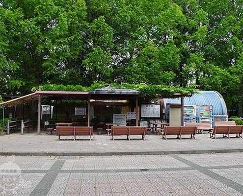 ミニSL広場