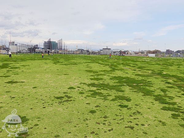 芝生広場