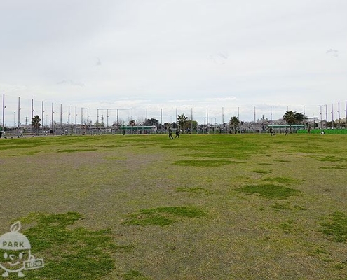 ボール遊び広場