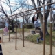 さくら近隣公園・子ども動物園