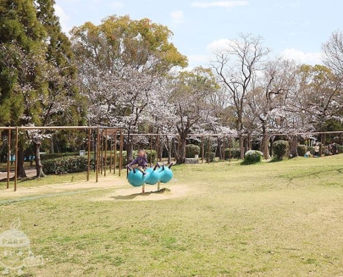 芝生の広場