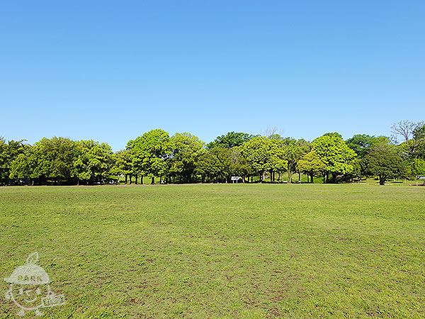 ひょうたん原っぱ