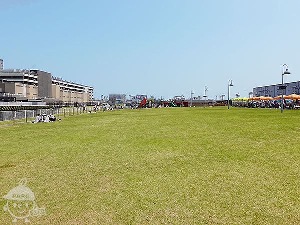 芝生広場