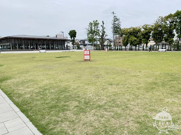 芝生広場