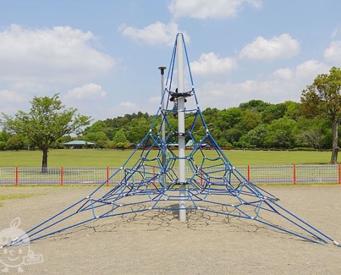 ザイルクライミング