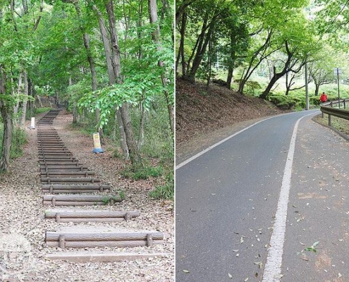 園路