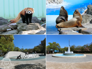行船公園・自然動物園